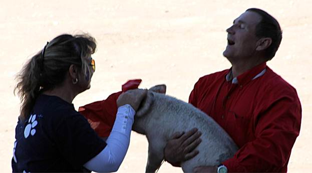 Description: \\fileserver01\staff\cningen\My Documents\My Pictures\Homecoming 2011\Pep Rally Pig Kiss.JPG