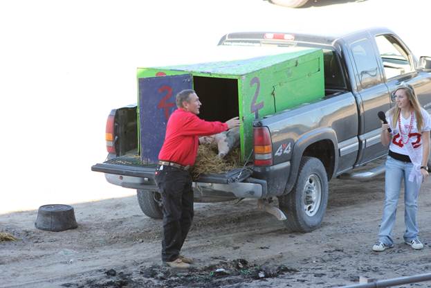 Description: \\fileserver01\staff\cningen\My Documents\My Pictures\Homecoming 2011\pig is unloaded.jpg