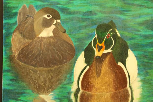 Description: S:\STAFF\cningen\ARC. PIX\ART\2012\Ducks 2012\Duck Stamp Winners 2012 044.JPG