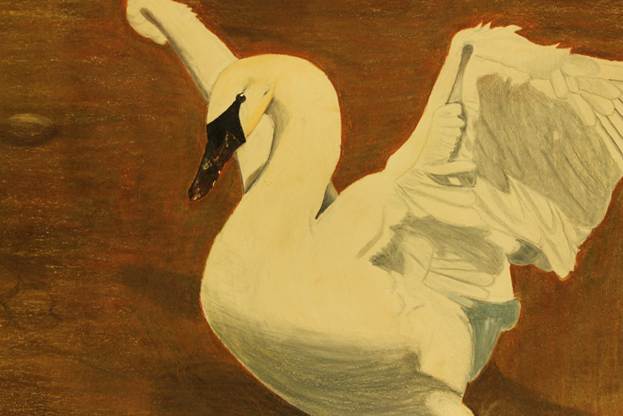 Description: S:\STAFF\cningen\ARC. PIX\ART\2012\Ducks 2012\Duck Stamp Winners 2012 048.JPG