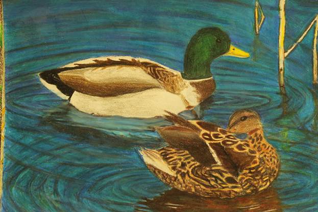 Description: S:\STAFF\cningen\ARC. PIX\ART\2012\Ducks 2012\Duck Stamp Winners 2012 047.JPG