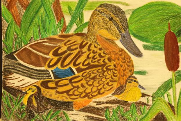 Description: S:\STAFF\cningen\ARC. PIX\ART\2012\Ducks 2012\Duck Stamp Winners 2012 045.JPG