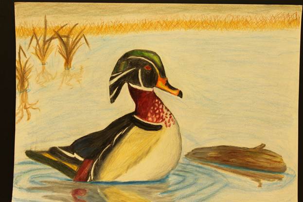 Description: S:\STAFF\cningen\ARC. PIX\ART\2012\Ducks 2012\Duck Stamp Winners 2012 042.JPG