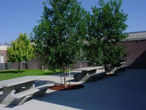 Slide image